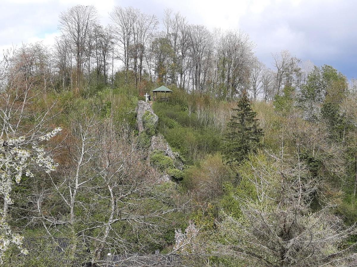 Haus Sonnenburg Villa Dahlem  Eksteriør bilde